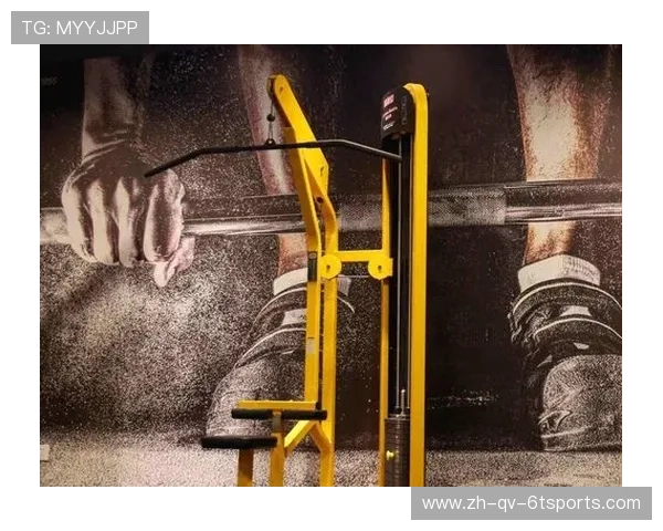 高拉下拉器材：提升背部力量的最佳选择与使用技巧